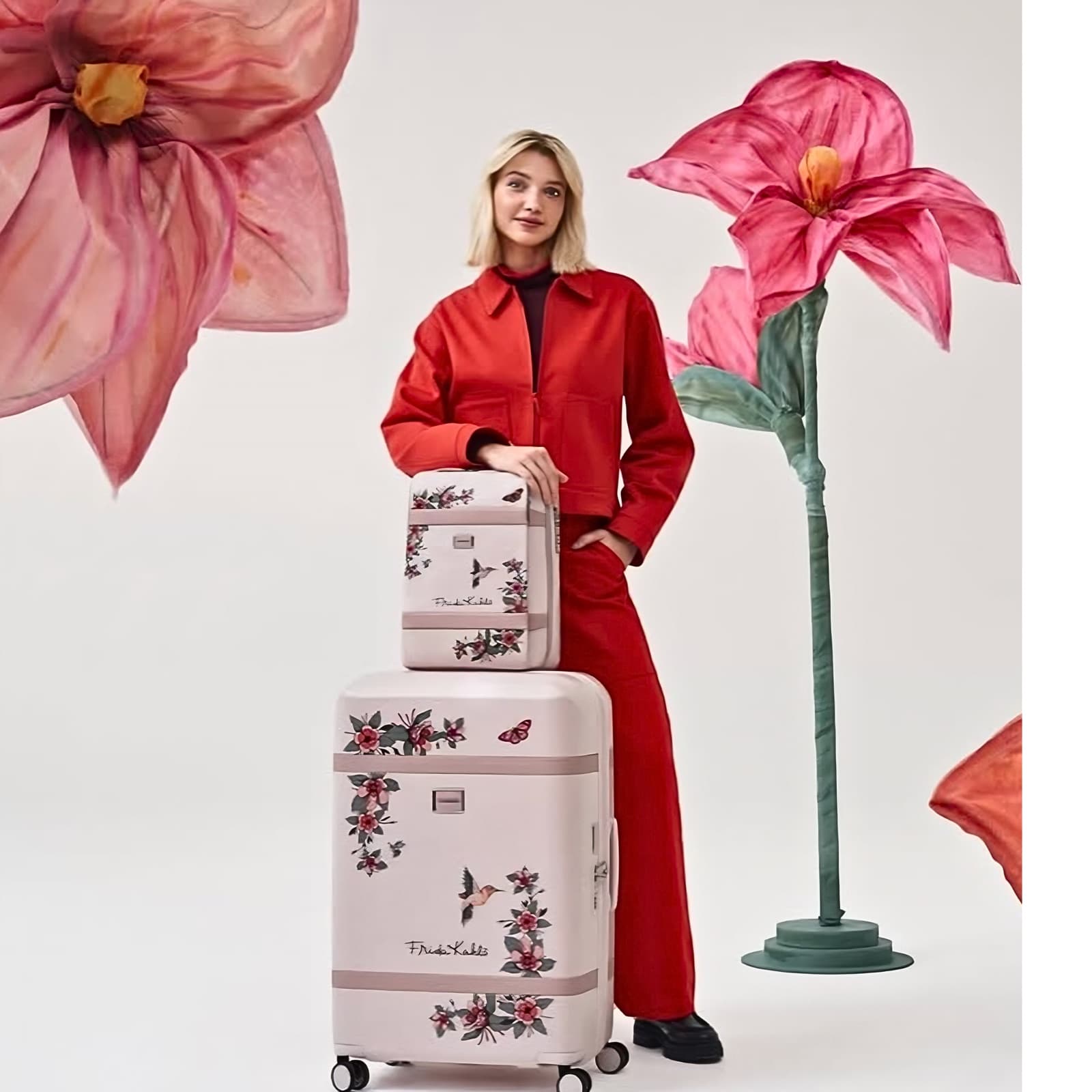 Samsonite — Collection
